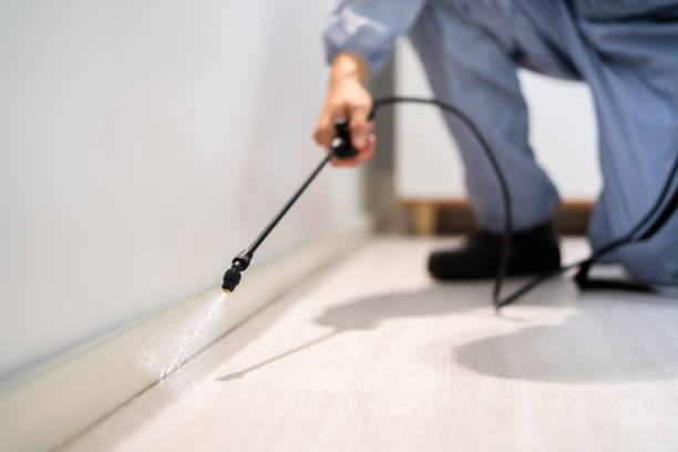 Licensed Mosquito Control service in Fridley, MN - Show Me Pest Control