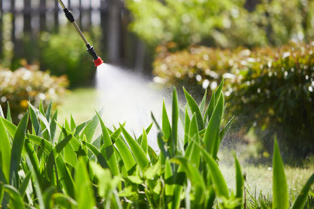 24/7 Emergency Mosquito Control experts in Fridley, MN
