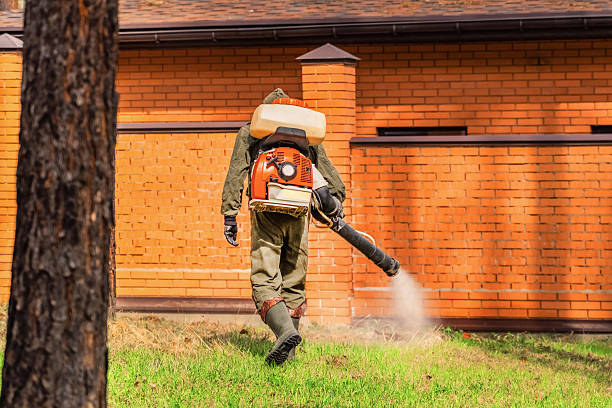 Top rated local Mosquito Control specialists in Fridley, MN